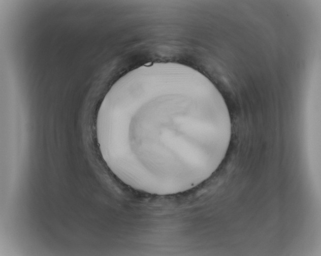 X0000111381009200907311049