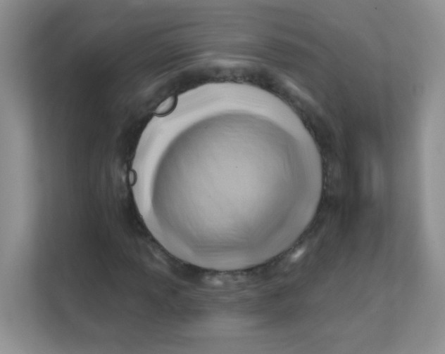 X0000111381013200907311049