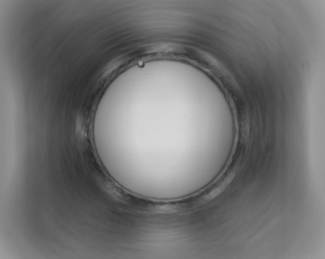 X0000111381017200907311049