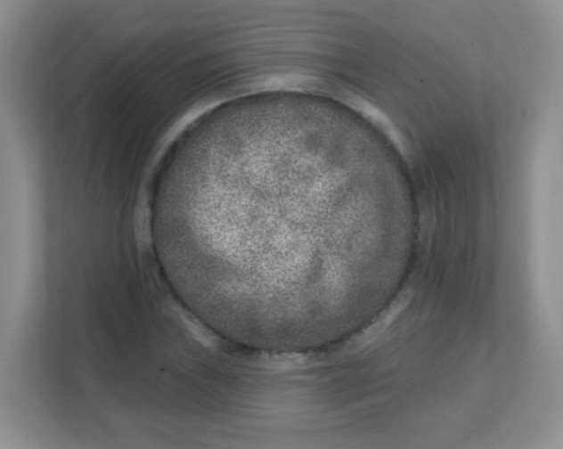 X0000111381019200907311049