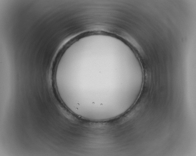 X0000111381020200907311049