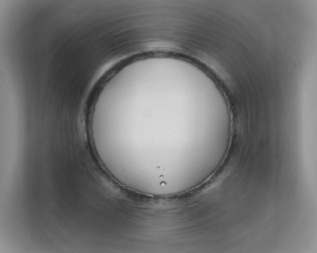 X0000111381022200907311049