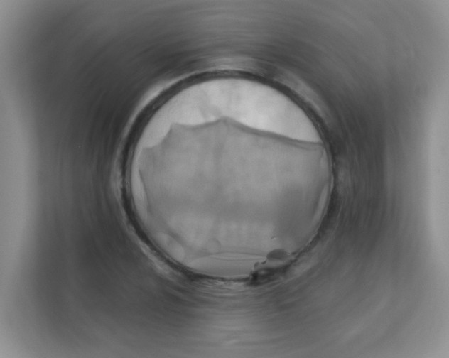 X0000111381024200907311049