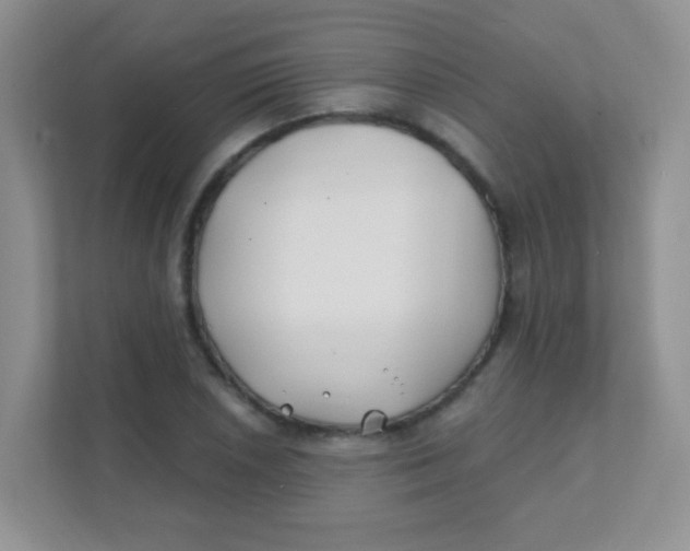 X0000111381026200907311049