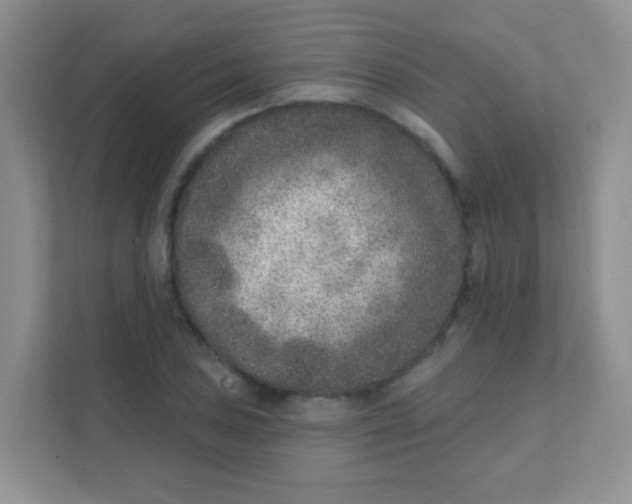 X0000111381027200907311049