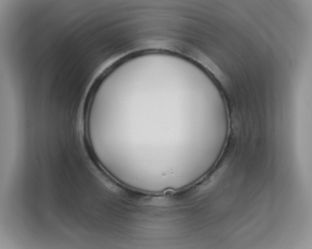 X0000111381028200907311049