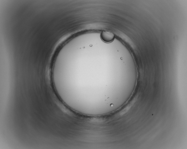 X0000111381029200907311049