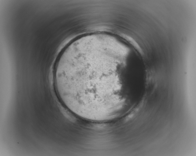 X0000111381031200907311049