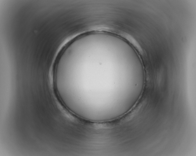 X0000111381032200907311049