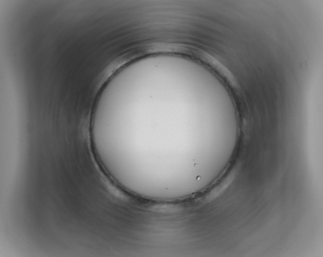 X0000111381033200907311049