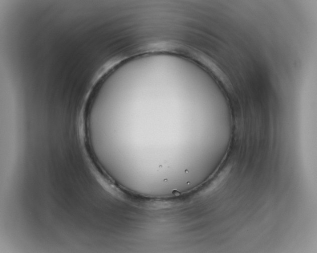 X0000111381034200907311049