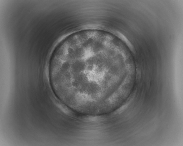 X0000111381035200907311049