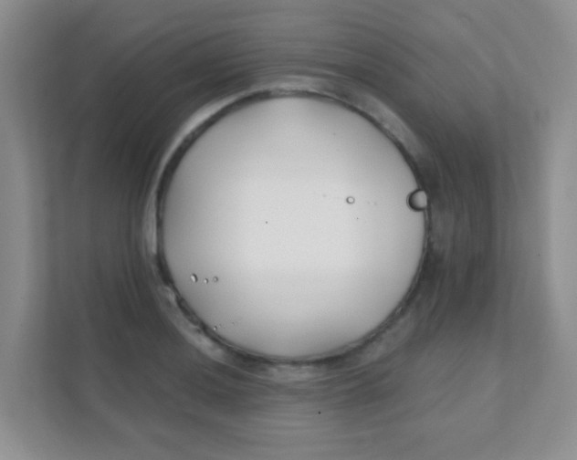 X0000111381036200907311049