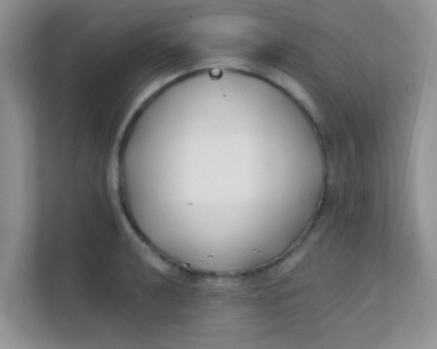 X0000111381040200907311049