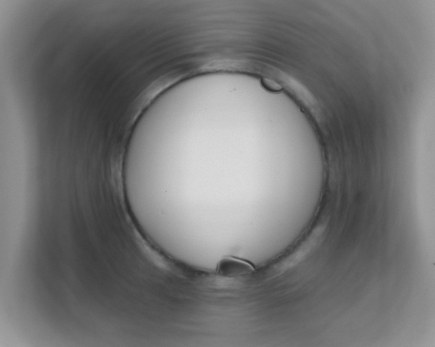 X0000111381041200907311049