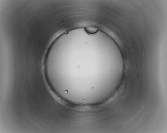 X0000111381042200907311049