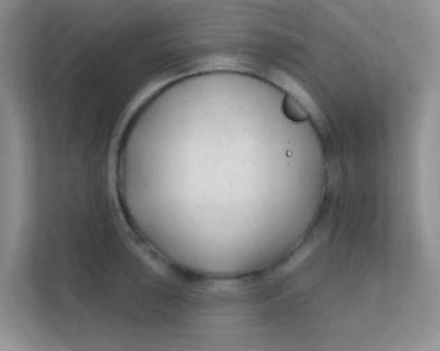 X0000111381043200907311049