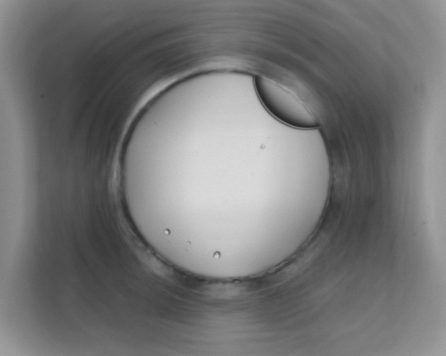 X0000111381044200907311049