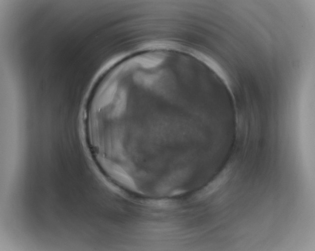 X0000111381045200907311049