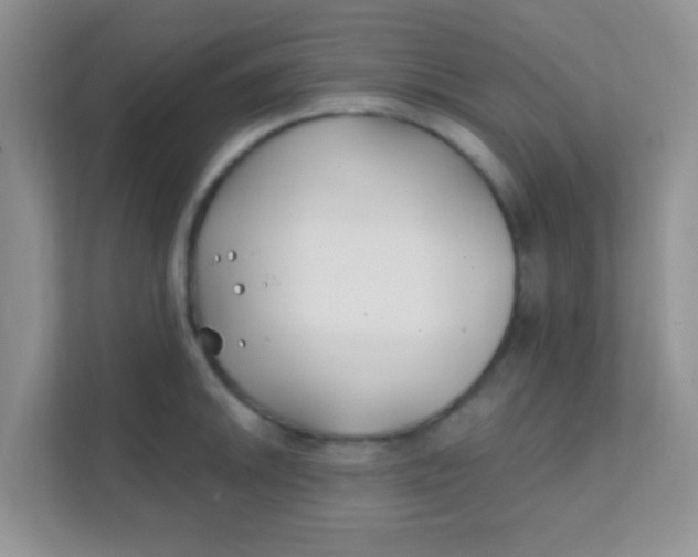 X0000111381046200907311049