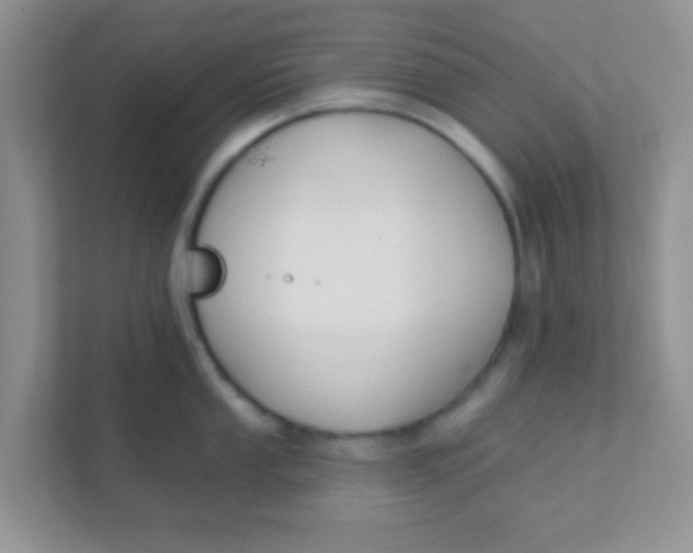 X0000111381053200907311049