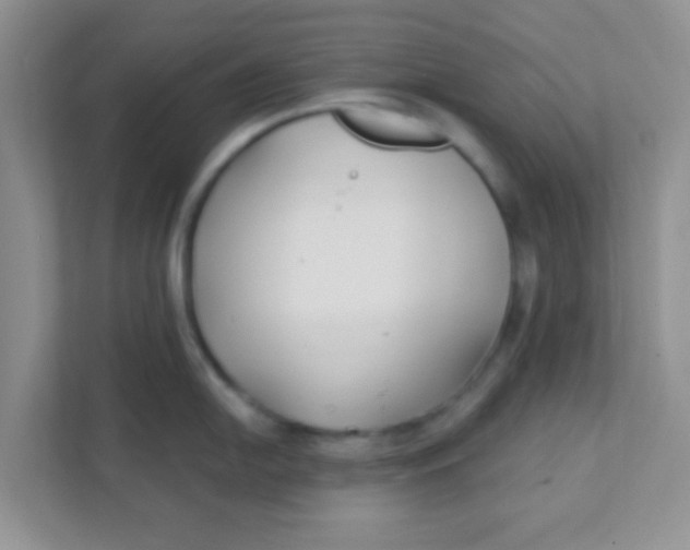 X0000111381054200907311049