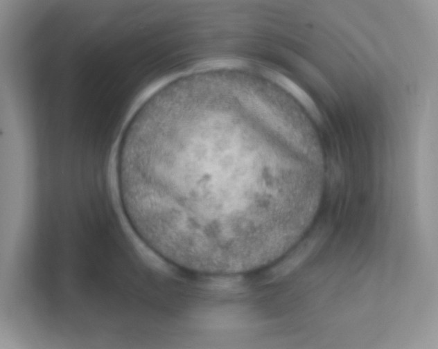 X0000111381055200907311049