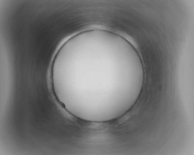 X0000111381056200907311049