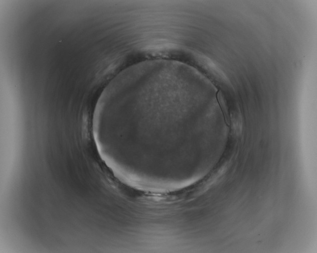 X0000111381060200907311049