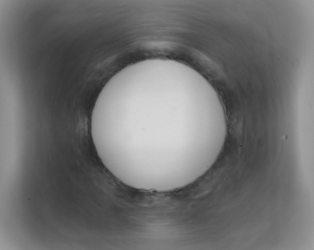 X0000111381061200907311049