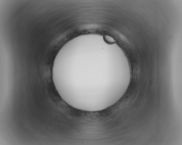 X0000111381062200907311049