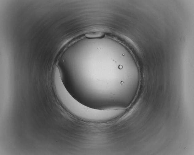 X0000111381065200907311049