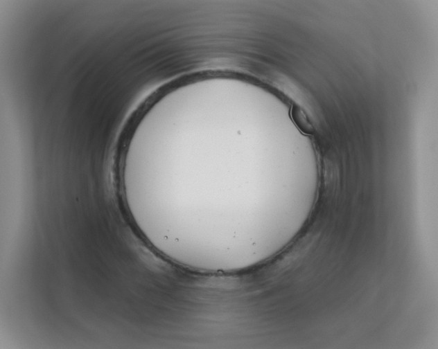 X0000111381068200907311049