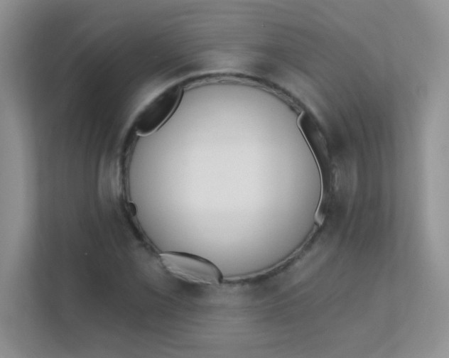 X0000111381069200907311049