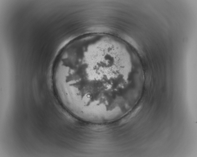 X0000111381071200907311049