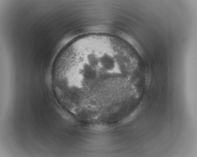 X0000111381074200907311049