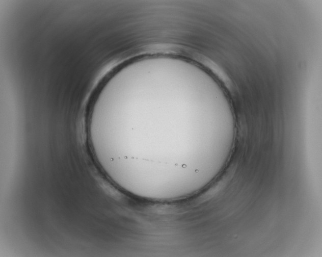 X0000111381075200907311049