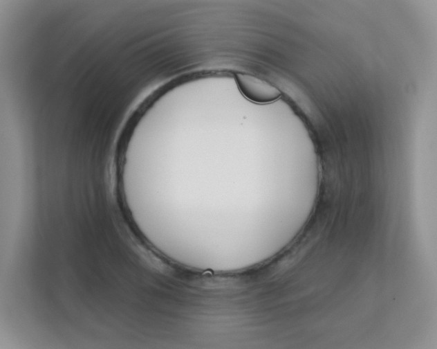 X0000111381076200907311049