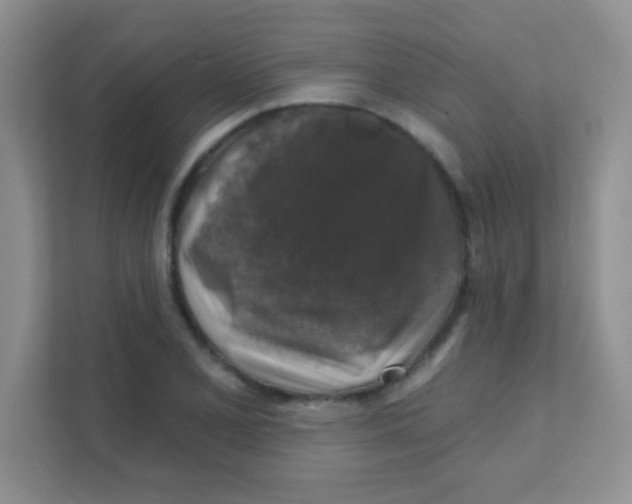 X0000111381077200907311049