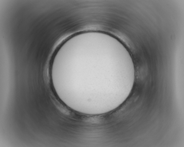 X0000111381078200907311049