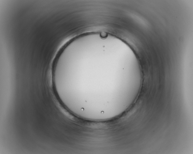 X0000111381079200907311049