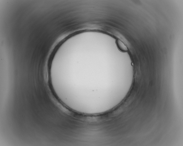 X0000111381080200907311049