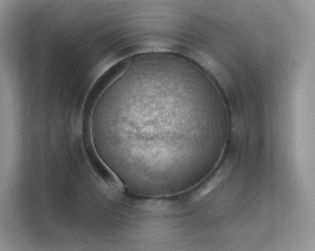 X0000111381081200907311049