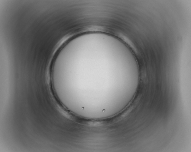 X0000111381082200907311049