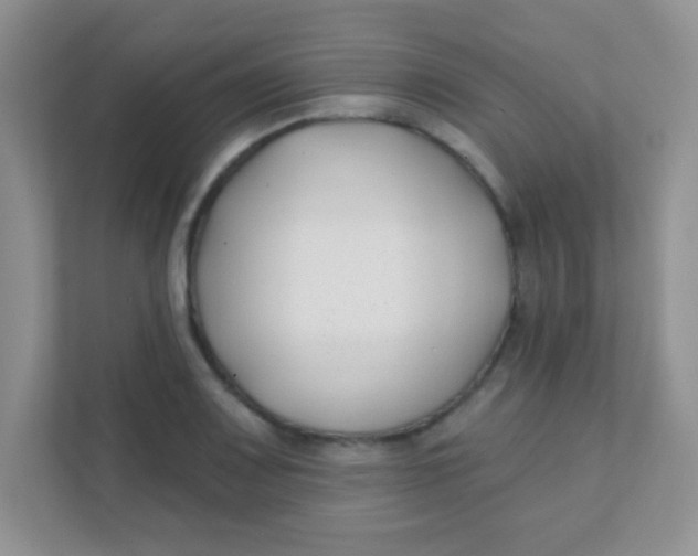 X0000111381083200907311049