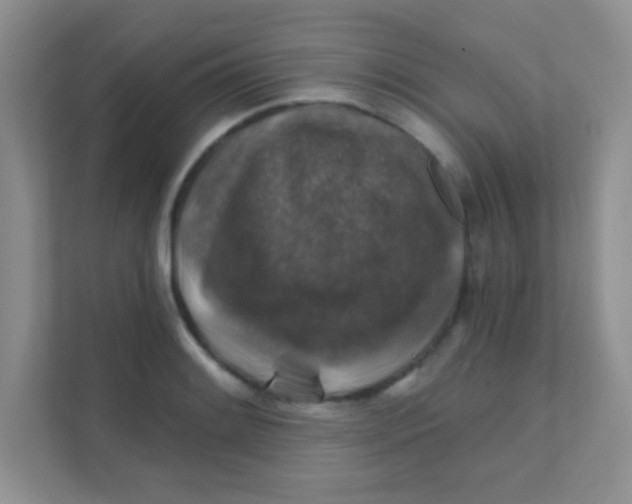 X0000111381084200907311049