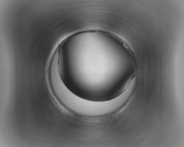 X0000111381086200907311048