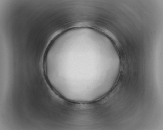 X0000111381087200907311048