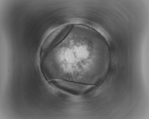 X0000111381088200907311048