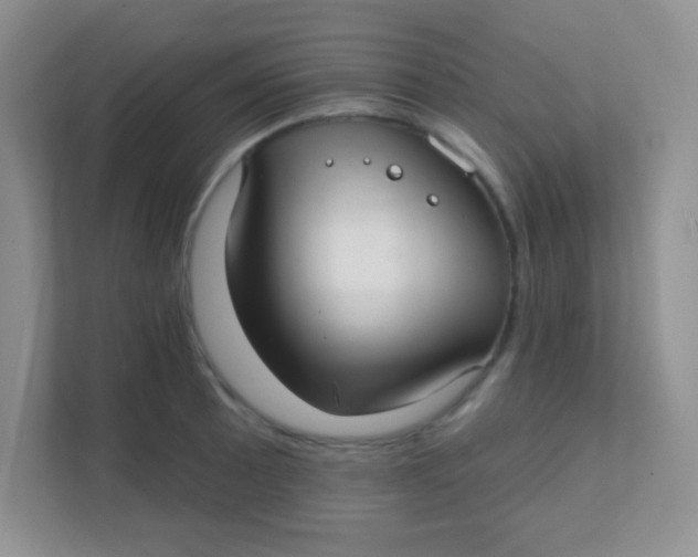 X0000111381089200907311048